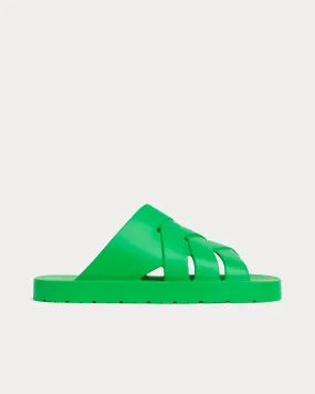 Flintstone Parakeet Mules