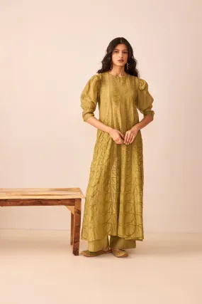 Green chanderi silk embroidered kalidar kurta set