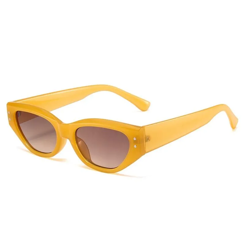 Reflective Retro Womens Sunglasses for Stylish Travel Adventures