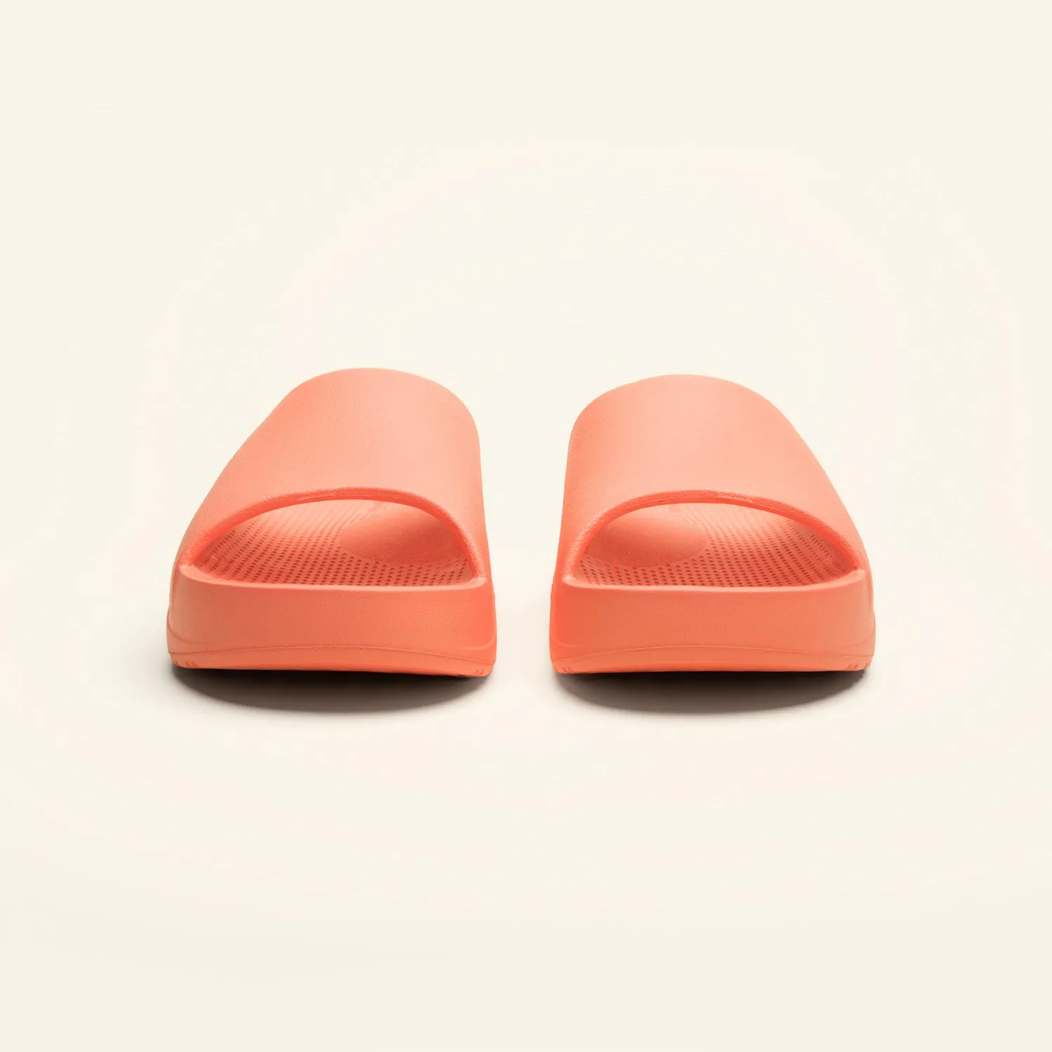 VIP Slides Winner!